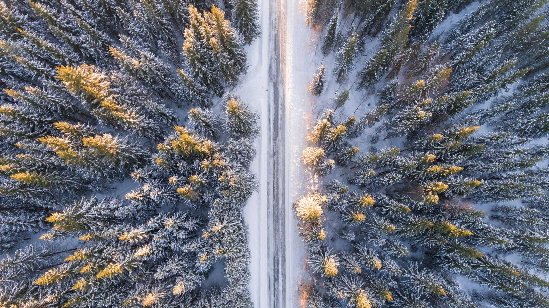 Think Winter