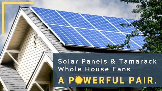 Blog header image - House with solar panels