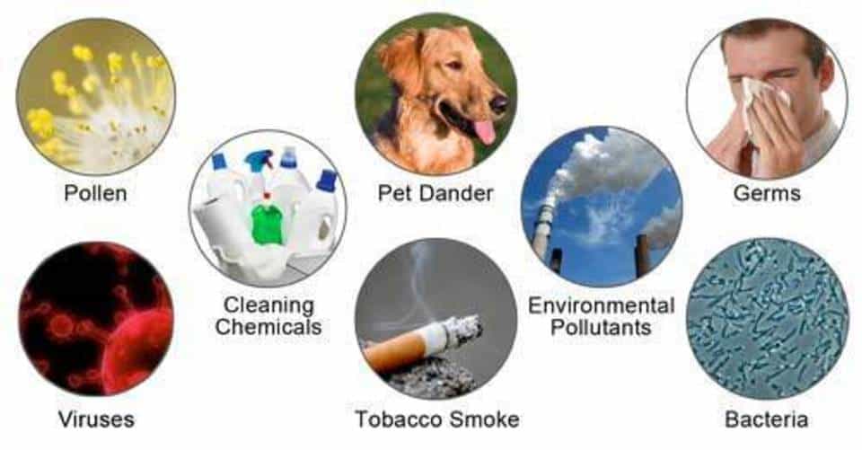 Indoor Air Quality Pollutants