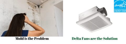 Bathroom Fan